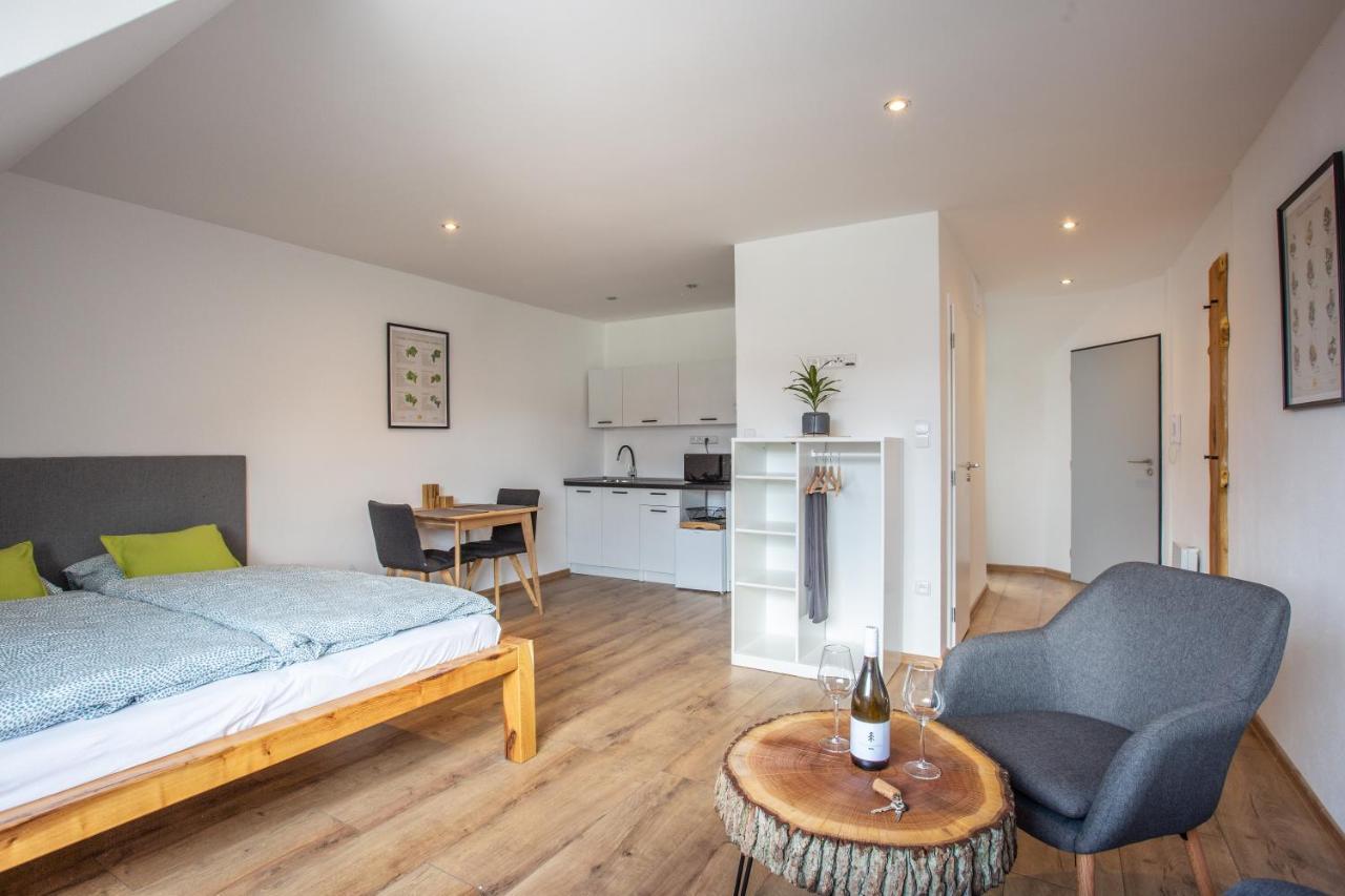 Apartmany Na Mikulasskem Namesti Znojmo Zewnętrze zdjęcie